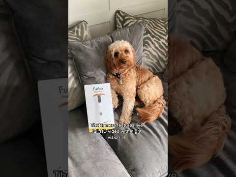 360° View HD Pet Camera with Treat Tossing and Barking Alerts link in bio or comment for link