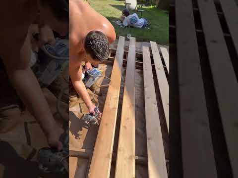 before buying this paint sprayer must see review