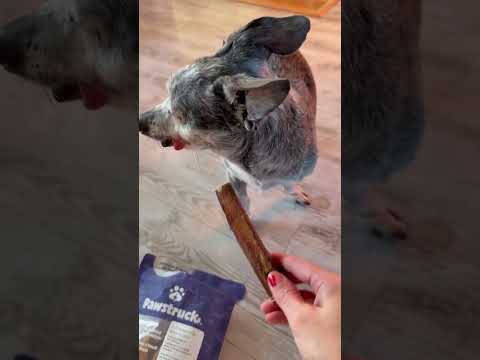 My dogs REAL TIME review of these treats