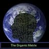 theorganicmatrix