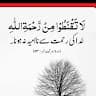 rasatmehmood