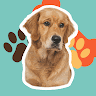 bentleythegoldendigger