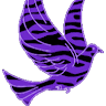 tygersongbird