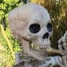 skeletonburner