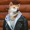 themensweardog
