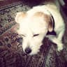 selsel070608