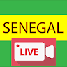 senegallive