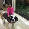 kritika.tanwar