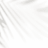 100w2021