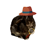 detectivebbooks