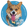 milo.siliconvalley