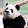 xueru9779