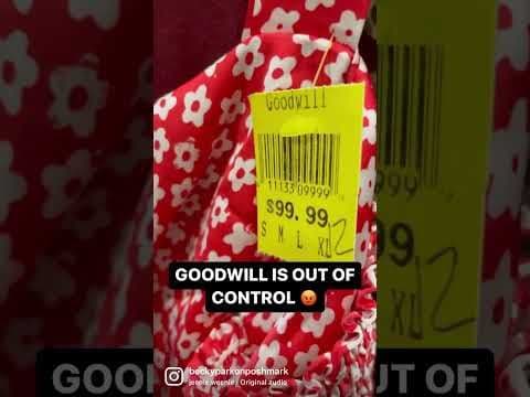 Does Goodwill Actually Sell This Overpriced Stuff?!?