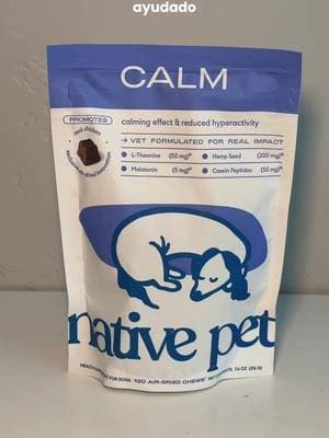 Los dueños de dachshund entenderán esto 😭🐾 @Native Pet #dachshund #perrosalchicha #dogmom #dogsoftiktok #tiktokshopfinds