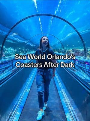 Experiencing Sea World Orlando for the very first time during their Coasters After Dark event🐬🏄🏻♀️✨ #seaworld #seawo