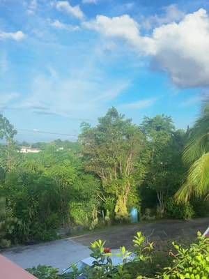 Tienes razón Benito PR está bien cabron @Bad Bunny #pr #fypシ゚viral #vacation #parati