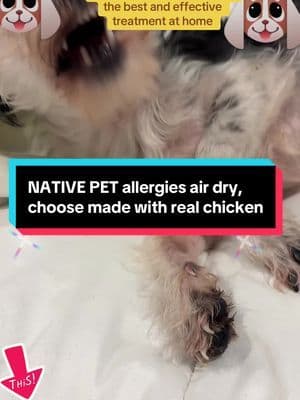 Give the best to your pets I know native pet is the best I give it to my pets and I always see results. #Pets #PetAllergies #HappyPets #HealthyPets #ShihTzuMix #FurBabies #TikTok #TikTokShop #TikTokCreator #Dogs #Animals #Allergies #NATIVEPET @Native Pet #D#DealsForYouDays#PetParents