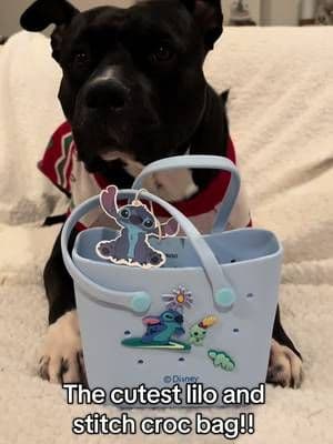 How cute is this!! #liloandstitch #liloandstich #ad #disney #tiktokblackfriday