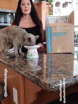am so thrilled that JustFoodForDogs makes freshly cooked, healthy meals for cats as well! Since I always eat clean, I always try to get my cats to eat clean as well, and JustFoodForDogs makes it easy! I can easily order the food online and have it delivered straight to my front door step. The food is easy to thaw, and my cats love it! @justfoodfordogs #JFFD #sponsored #justfoodfordogs #justfoodforcats #ad #petfood #catfood #healthycats