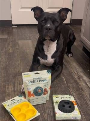 We love @Woof Pet !! Use code SCAR to get a discount at checkout when you go through their website! #woof #woofpack #ad #pupsicle #tiktokblackfriday