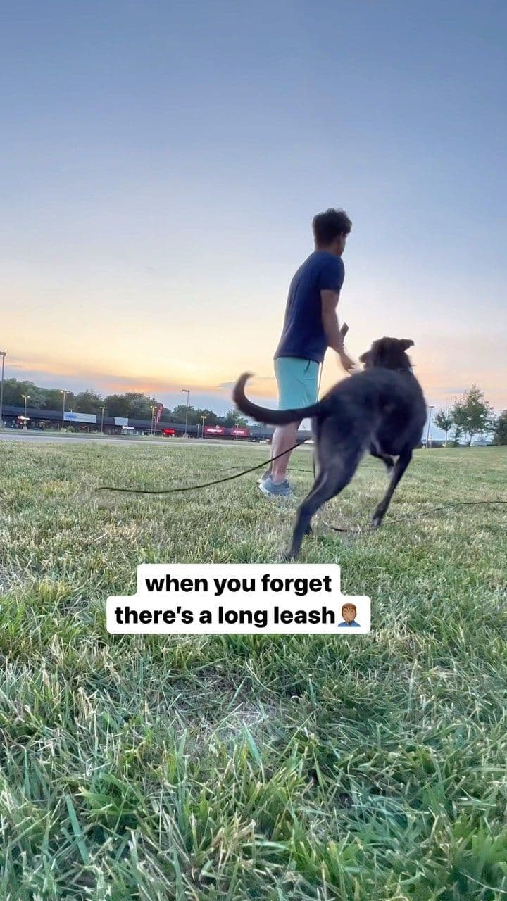 energy burn for real though 🙌 also rope burn 🥴 #ad #walmartpartner #dogtoys #squeakertoy #dogdad #doglife #dogtips #fu