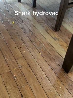 If you have kids you need this!! #momlife #creatorsearchinsights #tiktokshop #shark #hydrovac