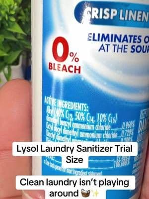Lysol Laundry Sanitizer is a 0% bleach laundry additive designed to kill 99.9% of bacteria when used as directed. These trial-size bottles are perfect for trying it before committing to the big bottle. 👕🫧 #Lysol #LaundrySanitizer #LaundryRoutine #CleaningTok #TikTokShop