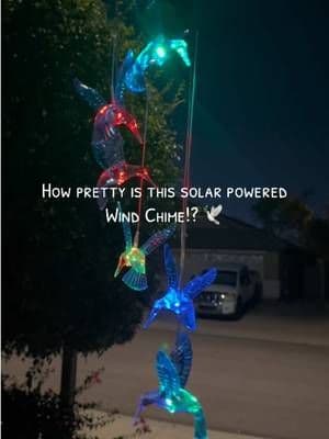 #windchime #windchimes #hummingbird #hummingbirds #solarpower #glowinthedark #tts #ttshop #tiktokshopping #tiktokshop #ttslevelup #tiktokshopbacktoschool #tiktokshopbacktoschool #dealsforyoudays #backtoschoolshopping #tiktokshopsummerturnup #tiktokshopsummersale #ttsthunderbolt