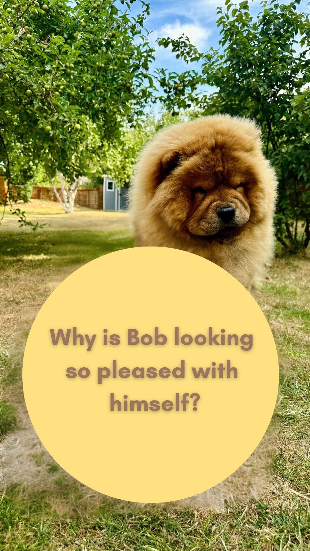 Bob and Noa have been Butternutters since March when we transitioned over as Bob was ready to go on to adult food.
It’