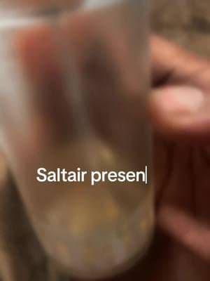 Warm • soft • glowing 🌅 This scent stays with you. @Saltair Body #goldenhourglow #saltairbody #loveyourskin #CapCut #tiktokshopnewyearnewyou