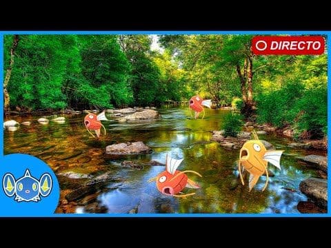 🔴 COMMUNITY DAY DE MAGIKARP!! - POKÉMON GO