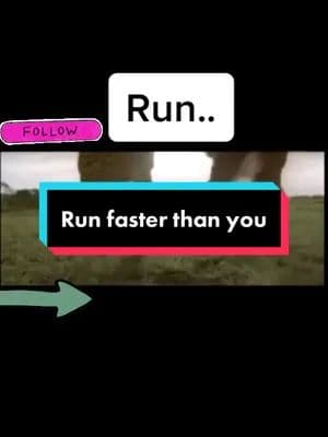 #funny #ad #commercial #run #running #asics