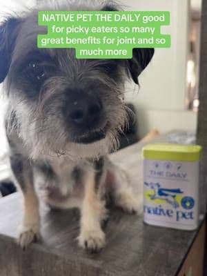 OK, y’all this from NATIVE PET has been amazing. I have seen so much improvement in my dogs more active more playful. They are more excited please if you have a pet. I definitely recommend this. #Recommend #NATIVEPET #PET #Dogs #Cats #Puppies #Kittens #SeniorDogs #SeniorCats #GoodForAll #Healthy #ProlongLife #11InOneSupplementPowderHasNativePet11 andOneSupplementPowder #Animals #FurBabies #DogMom #DogDad #DogParents#CatMom #CatDad #CatParents #TikTok #TikTokShop #TikTokCreator #TikTokShopSpringTalk #TikTokSpringTalk #OnlyOnTikTok #HealthyPets #GreatBenefits #DogJoints #DogsCoat #CatsJoints #CatsCoat #nativepet @Native Pet